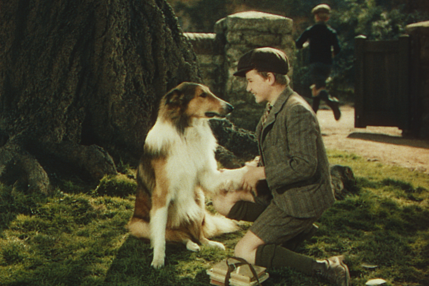 Lassie Come Home 1943 Directed By Fred M Wilcox 