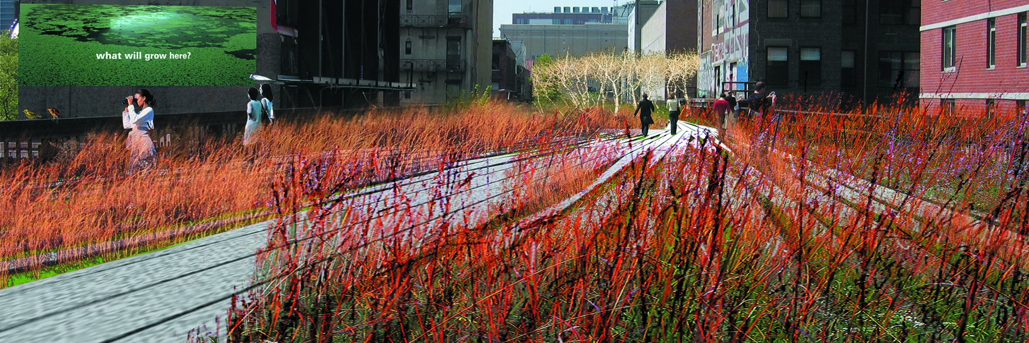 The High Line - Diller Scofidio + Renfro