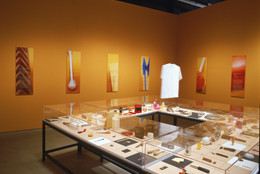 Installation view of Humble Masterpieces at The Museum of Modern Art, New York. Photo: John Wronn