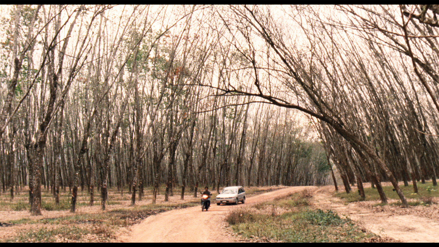 Mahut samut lae susaan (The Island Funeral). 2015. Directed by Pimpaka ...