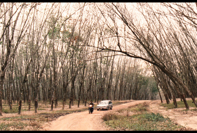 Mahut Samut Lae Susaan (the Island Funeral). 2015. Directed By Pimpaka 