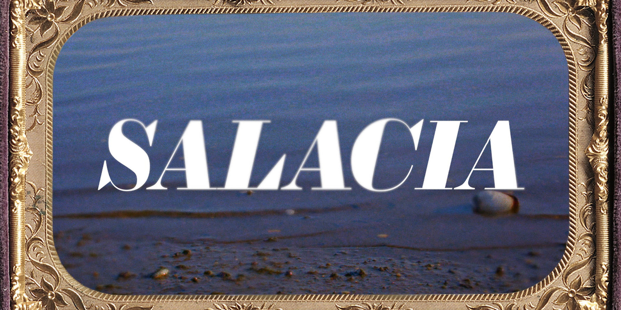 Tourmaline. Salacia. 2019. Video (color, sound), 6 min. The Museum of Modern Art, New York. Acquired through the generosity of The Lumpkin-Boccuzzi Family Collection. © 2020 Tourmaline. Courtesy of the artist