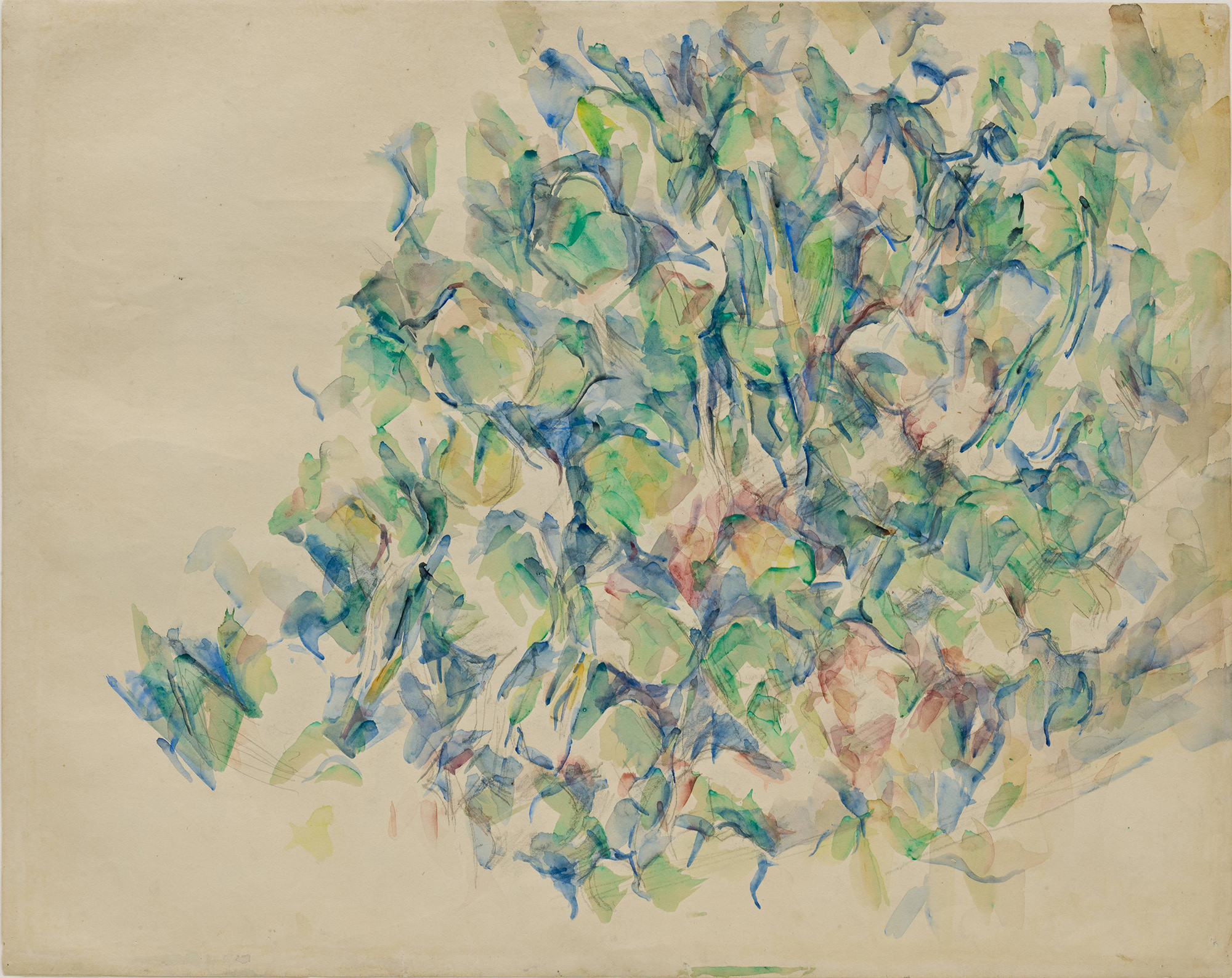 Member Previews: Cézanne Drawing | MoMA