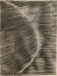 Gego (Gertrud Goldschmidt). Untitled. 1963. Ink on paper, 30 × 22&#34; (76.2 × 55.9 cm). The Museum of Modern Art, New York. Committee on Drawings Funds. © 2021 Fundación Gego