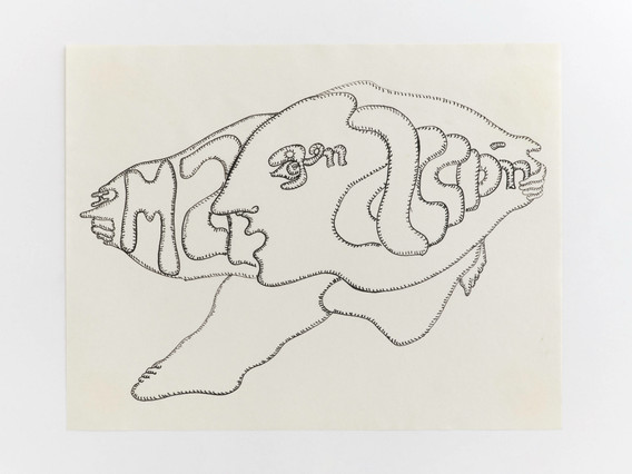Cecilia Vicuña. Imaginación: imagen en acción (Imagination: Image in Action) from the series AMAzone Palabrarmas. 1978
