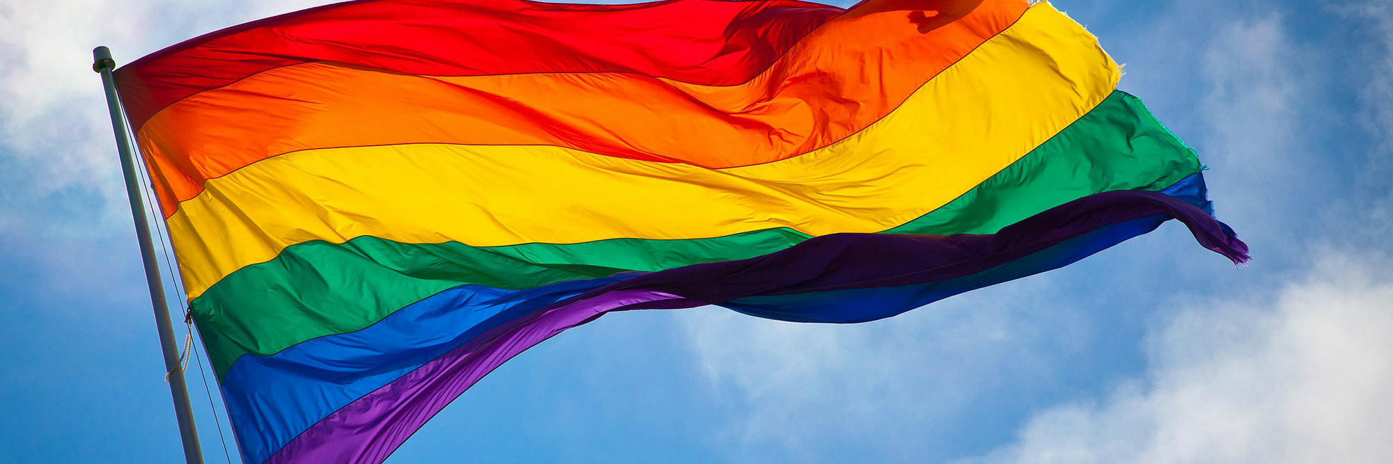 LGBTQ+ Pride MOD Suspendu Art Mobile dans les couleurs du drapeau