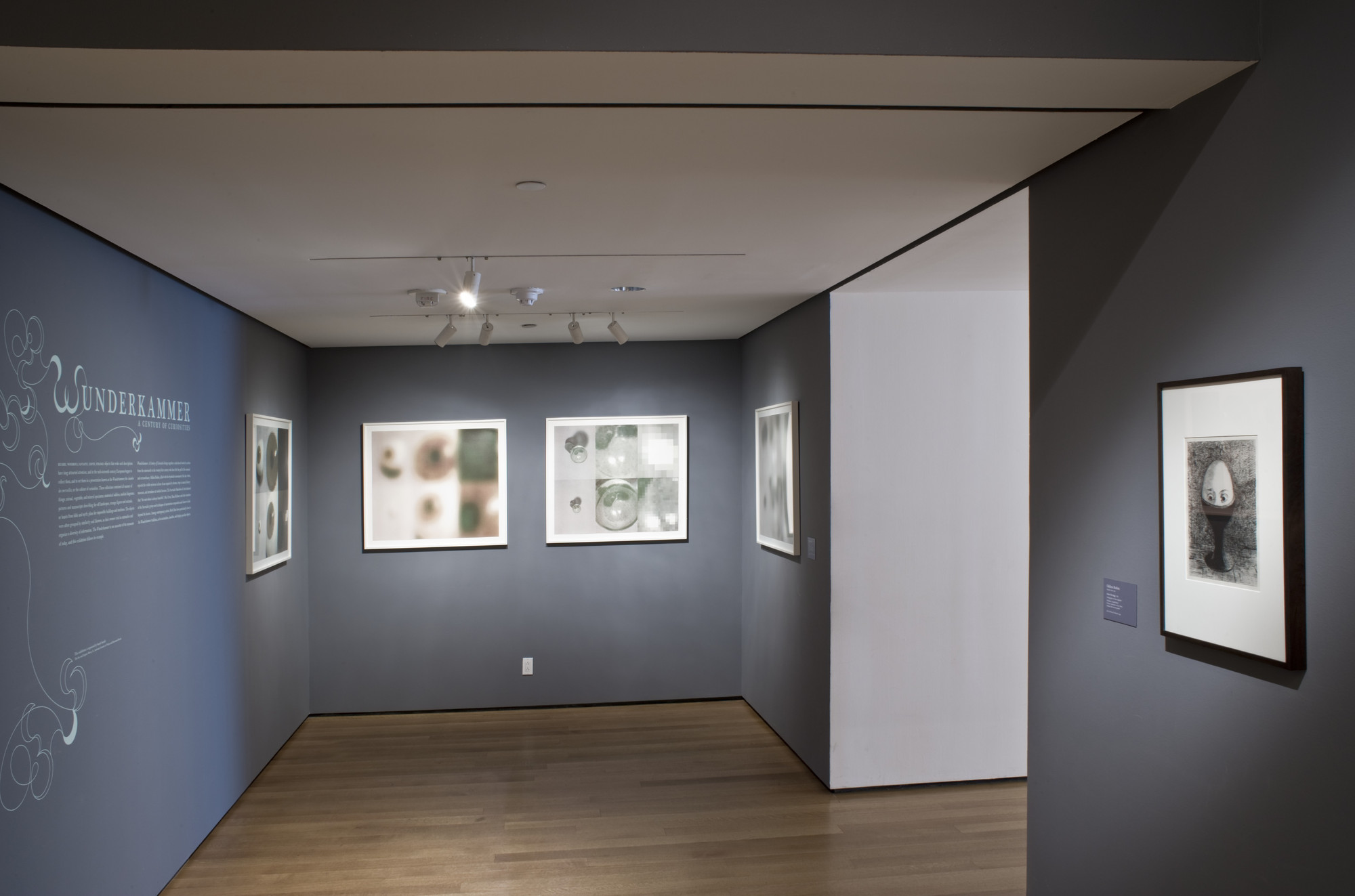 Installation View Of The Exhibition 