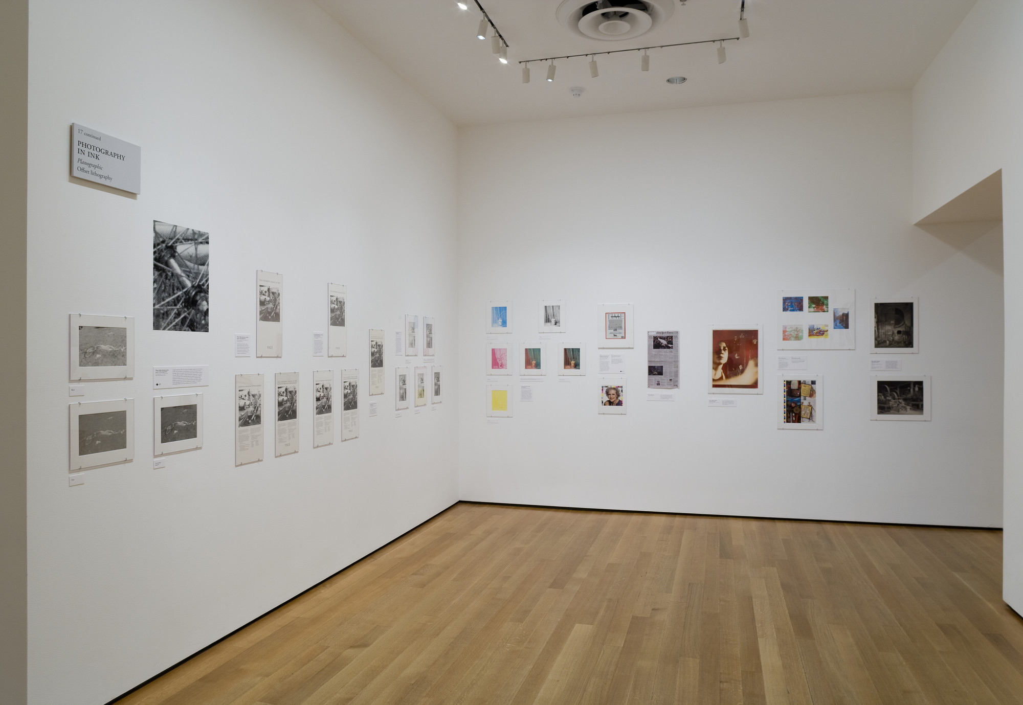 Installation view of 