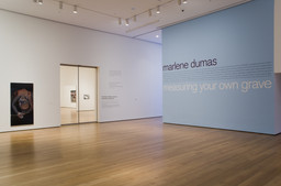 Marlene Dumas: Measuring Your Own Grave | MoMA