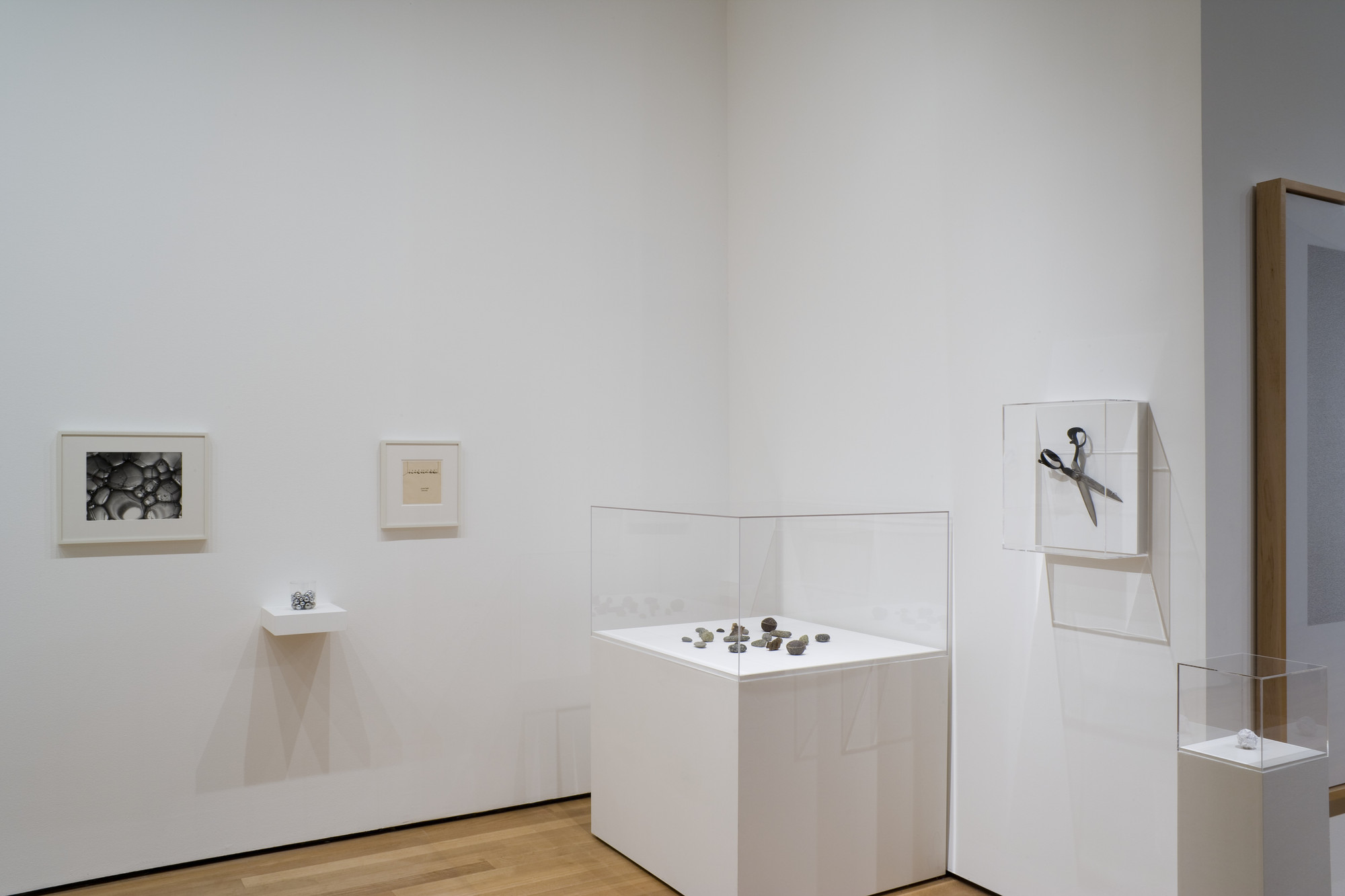 Installation view of the exhibition 