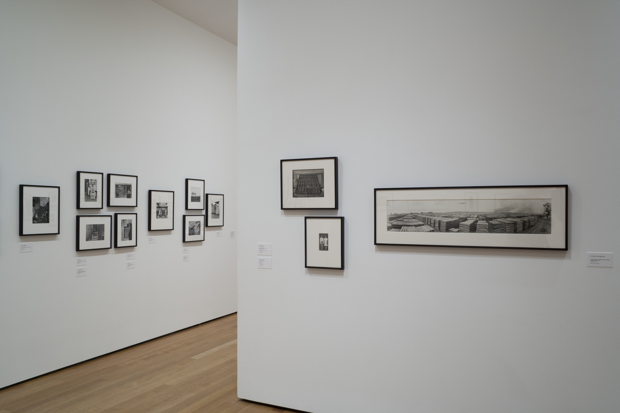 Installation view of the exhibition 