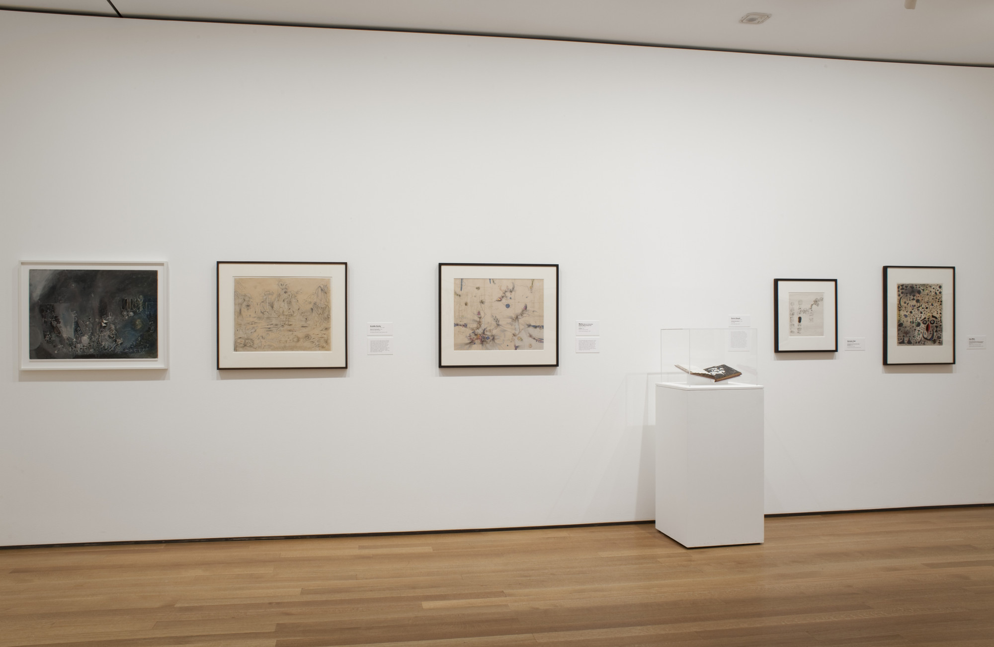 Installation view of the exhibition 