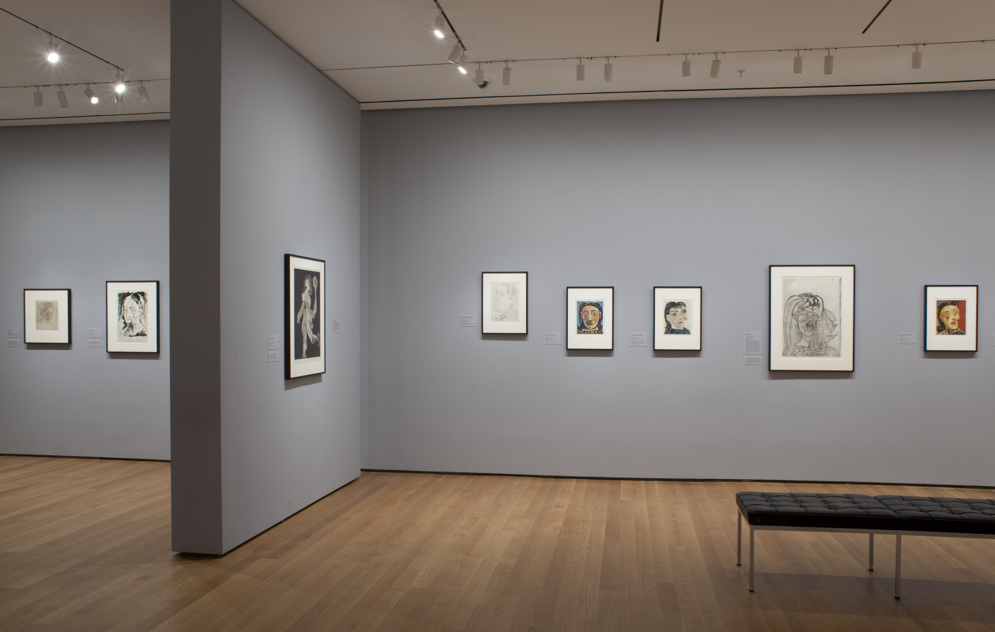 Installation View Of The Exhibition "Picasso: Themes And Variations" | MoMA