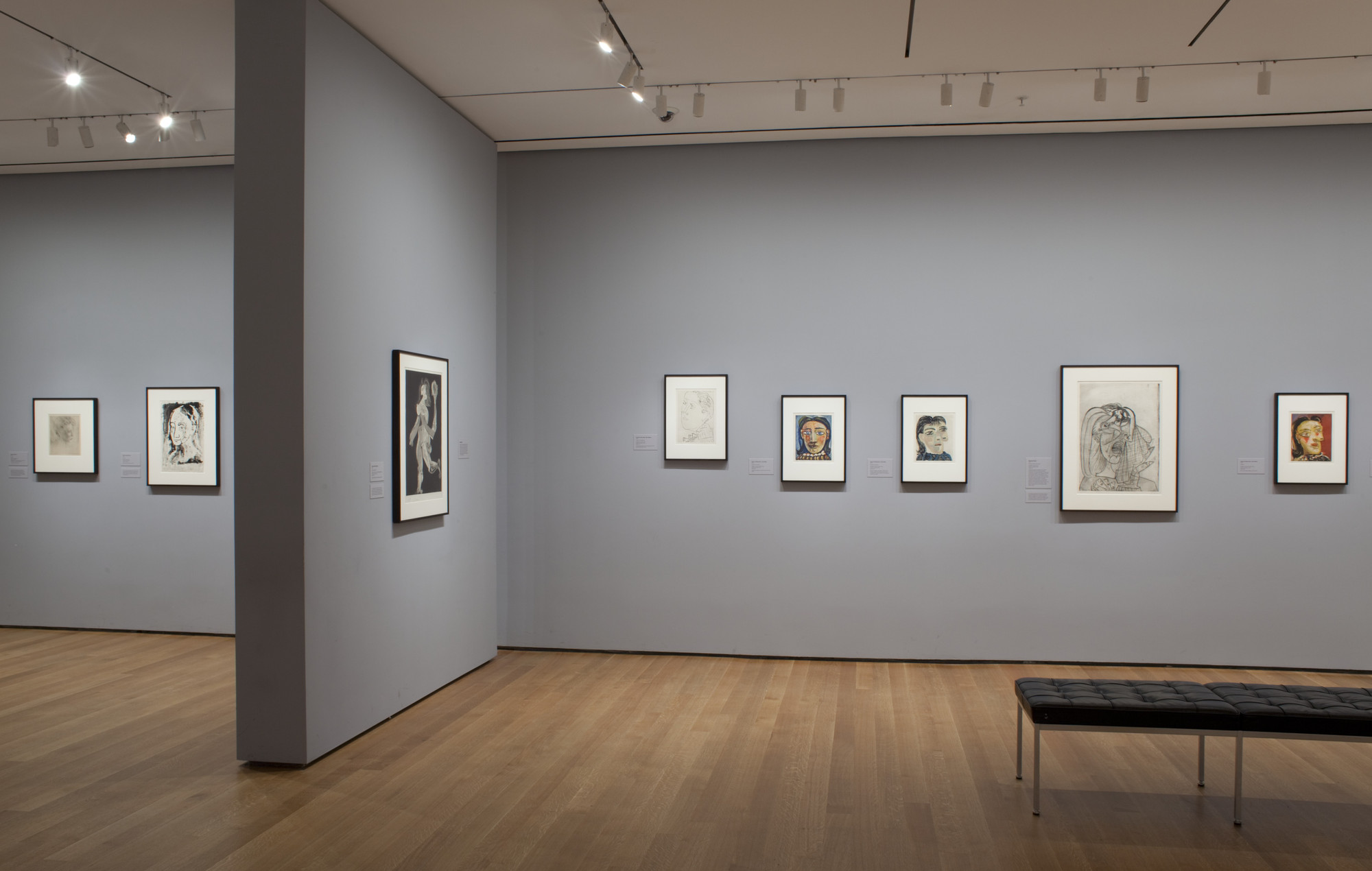 Installation view of the exhibition, "Picasso Themes and Variations