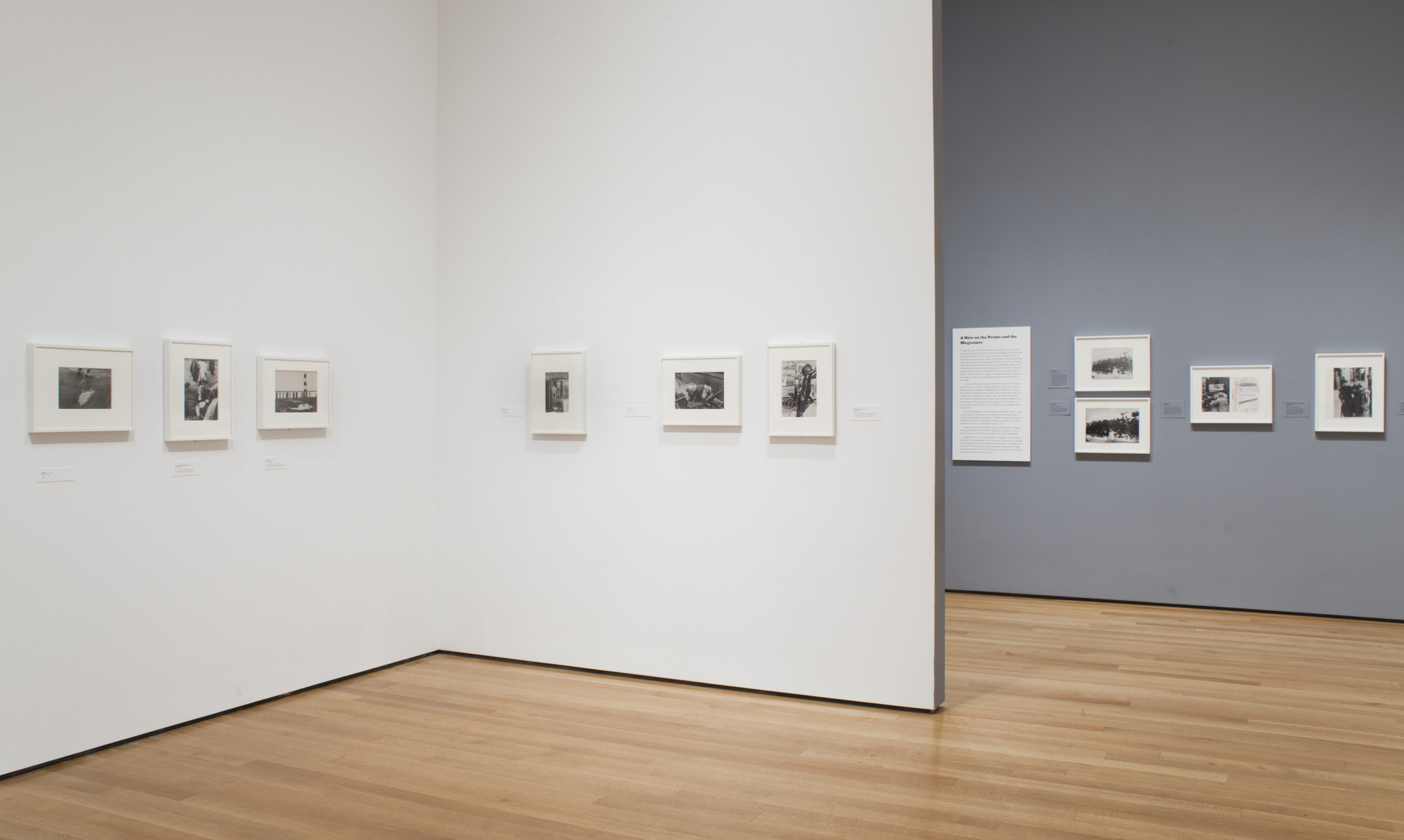 Installation view of the exhibition 