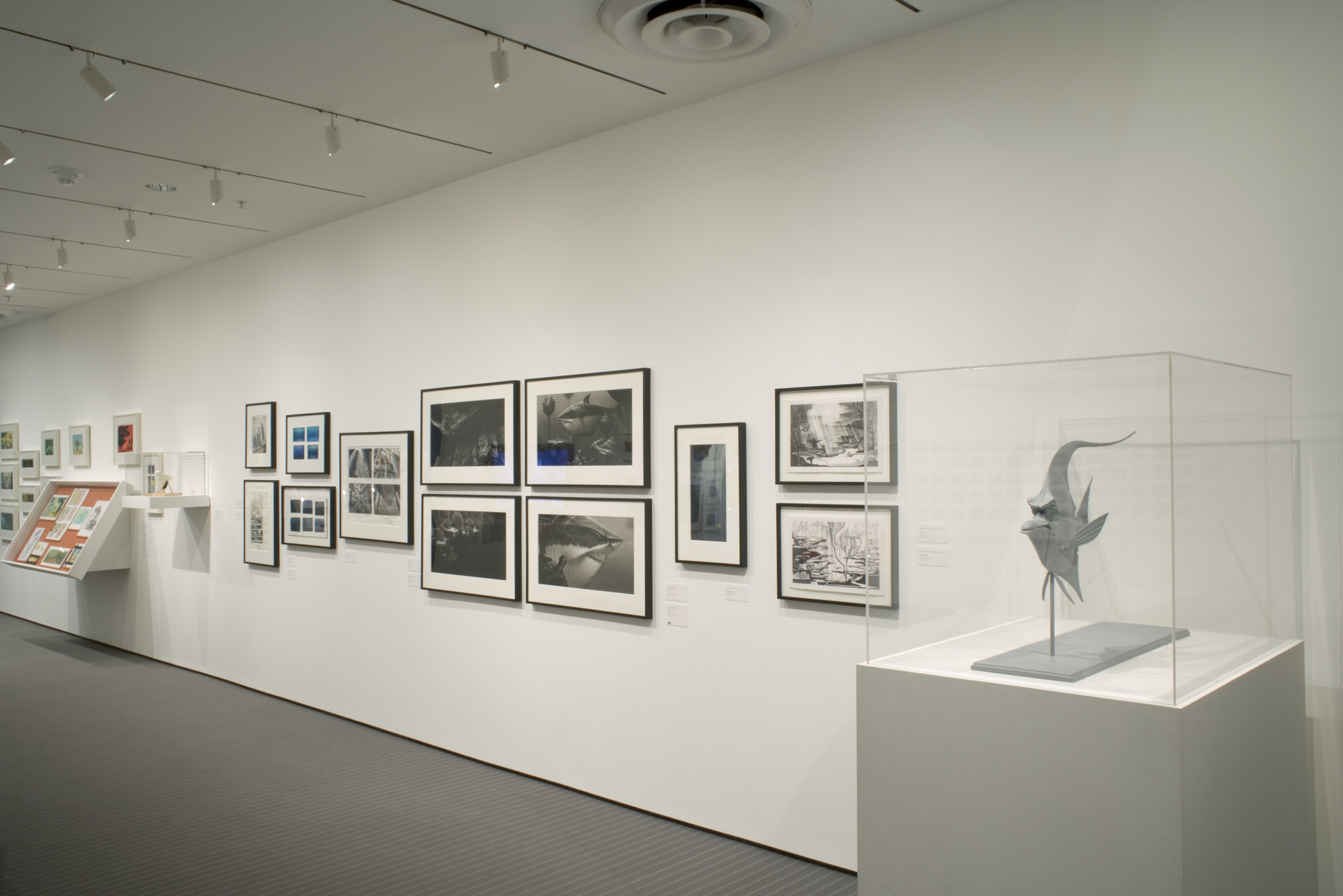 Installation view of the exhibition 