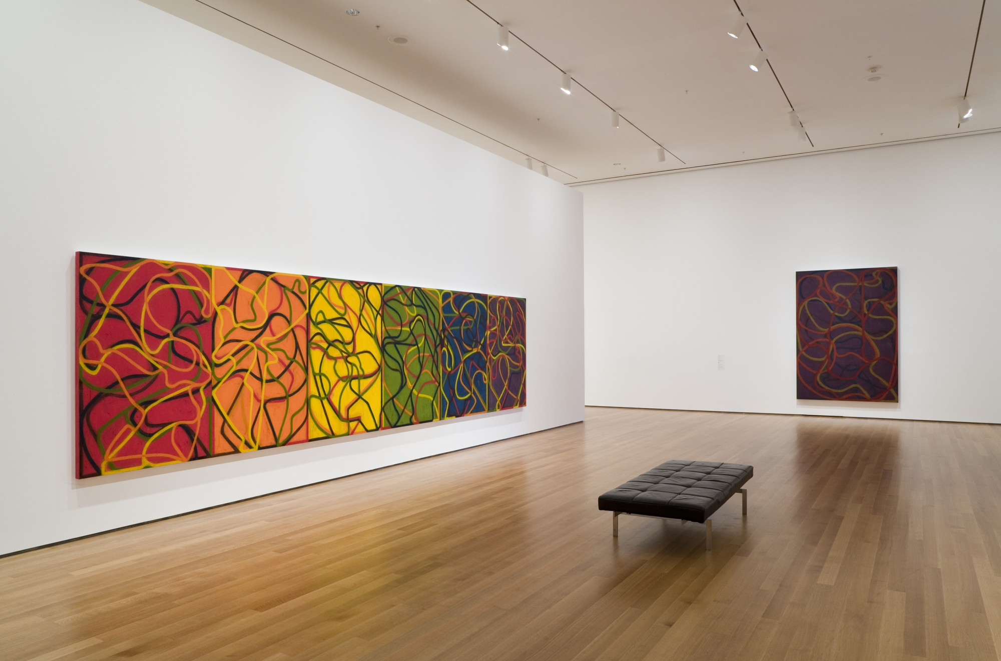 Installation view of the exhibition "Brice Marden A Retrospective of