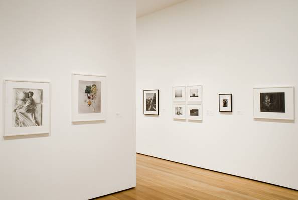 Ansel Adams. Aspens, Northern New Mexico. 1958 | MoMA