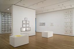 New Perspectives in Latin American Art, 1930–2006: Selections from a ...