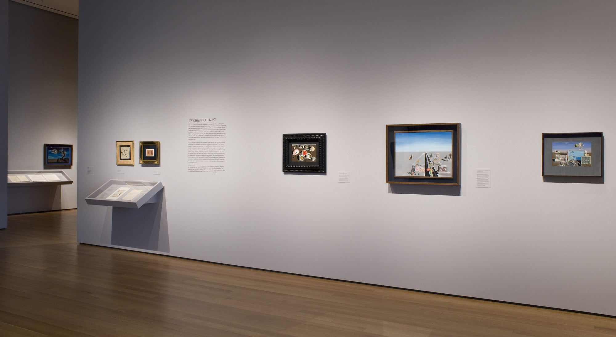 Installation view of the exhibition 