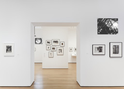 The Shaping of New Visions: Photography, Film, Photobook | MoMA