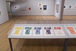 jasper johns figure 5