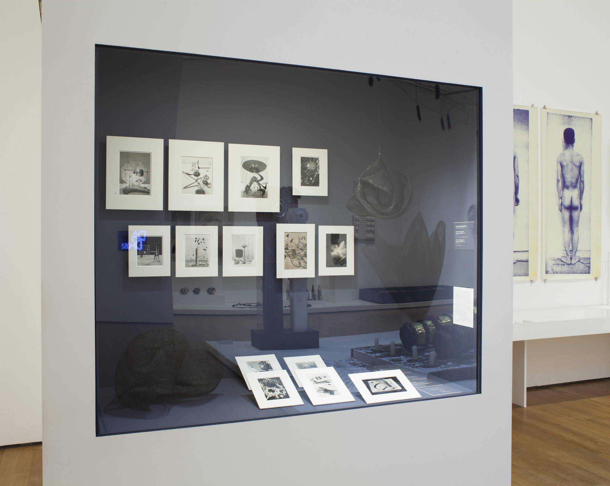 Installation view of the exhibition 