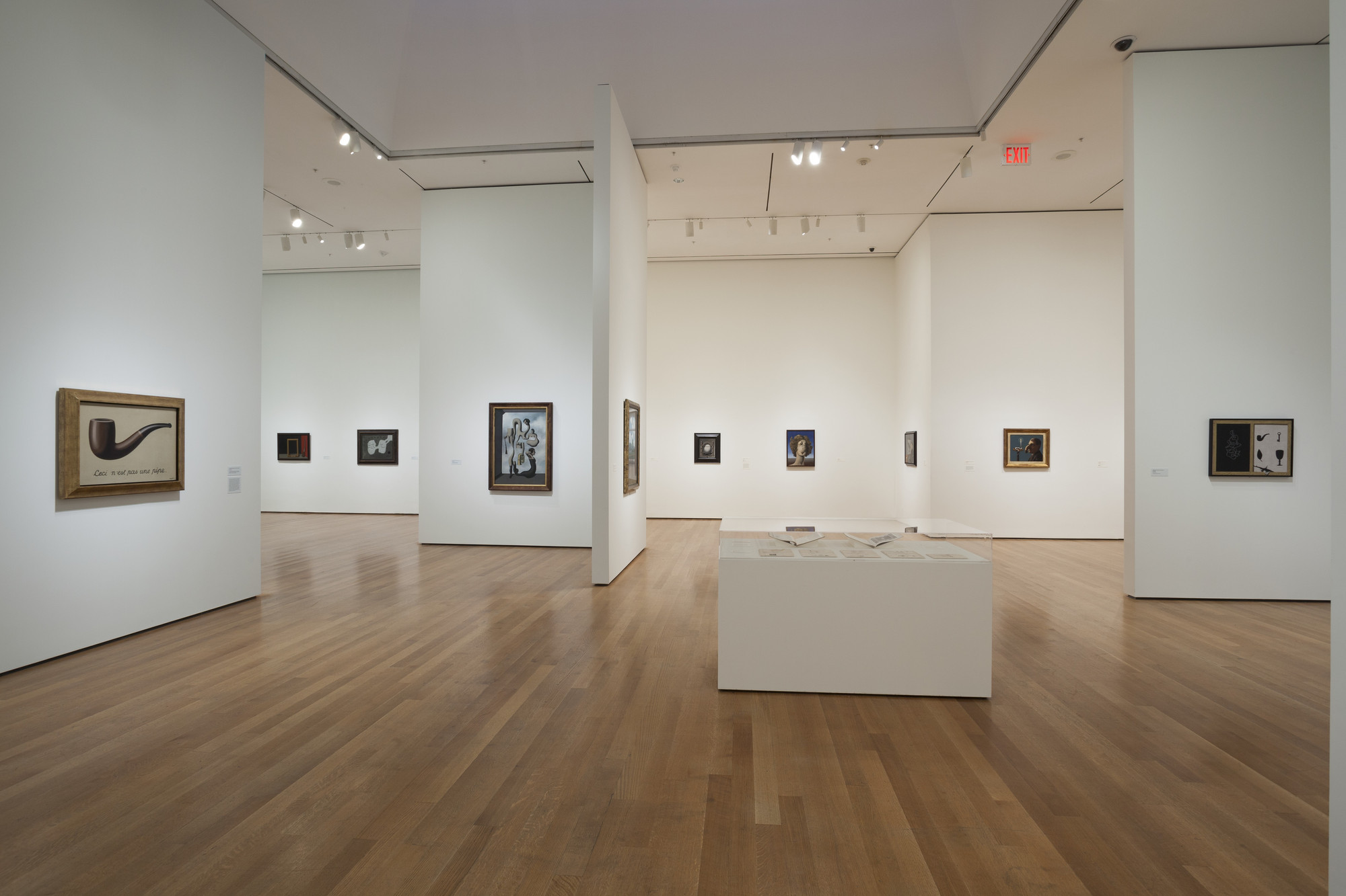 Installation view of the exhibition 