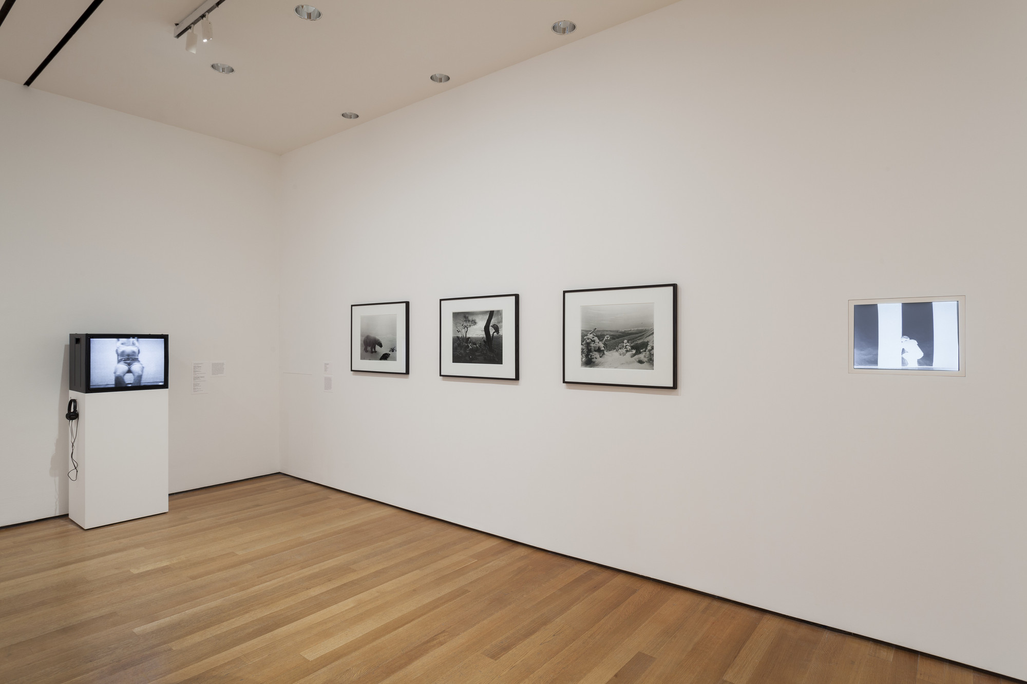 Installation View Of The Exhibition 