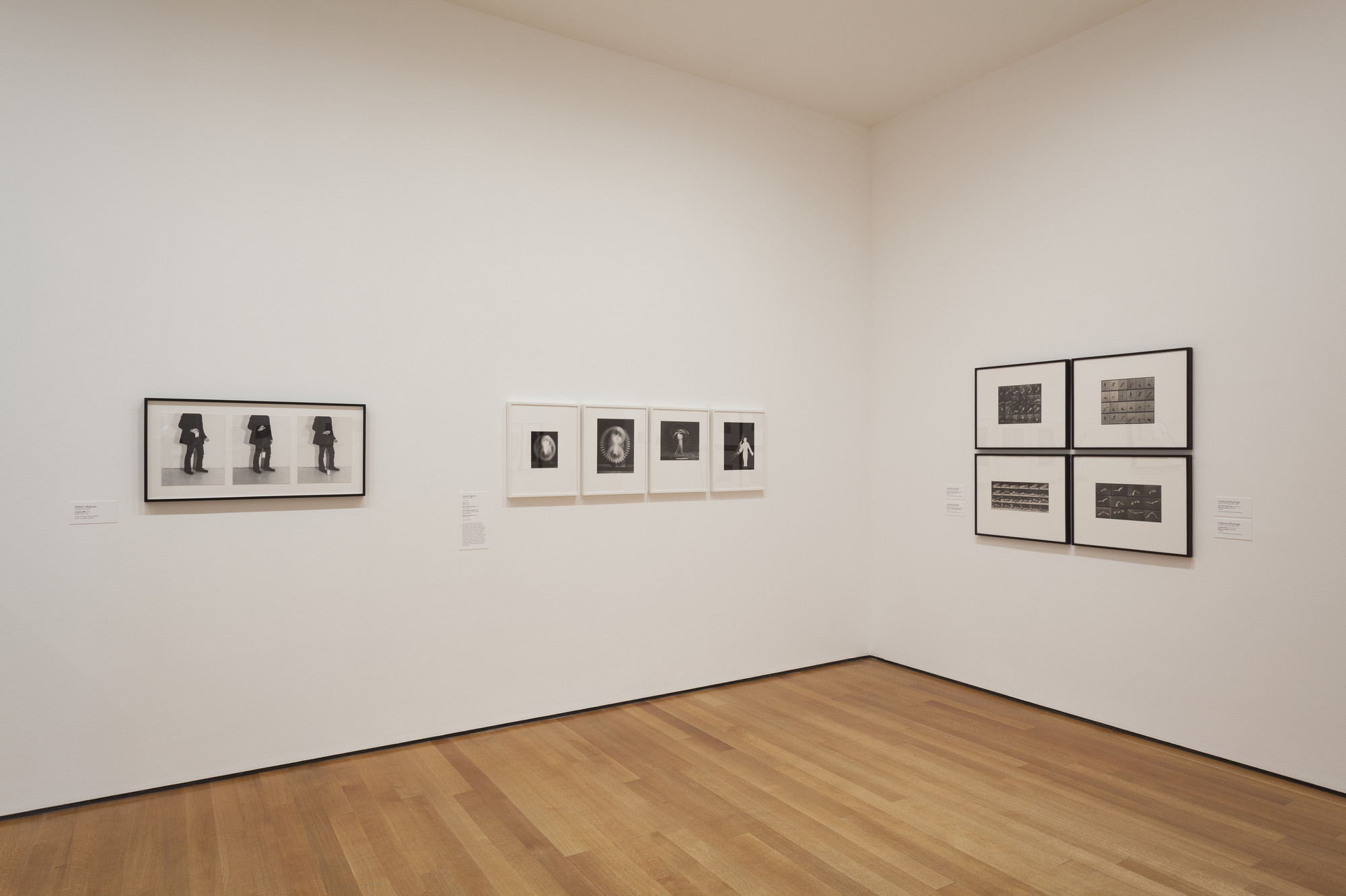 Installation view of the exhibition, 