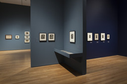 Gauguin: Metamorphoses | MoMA