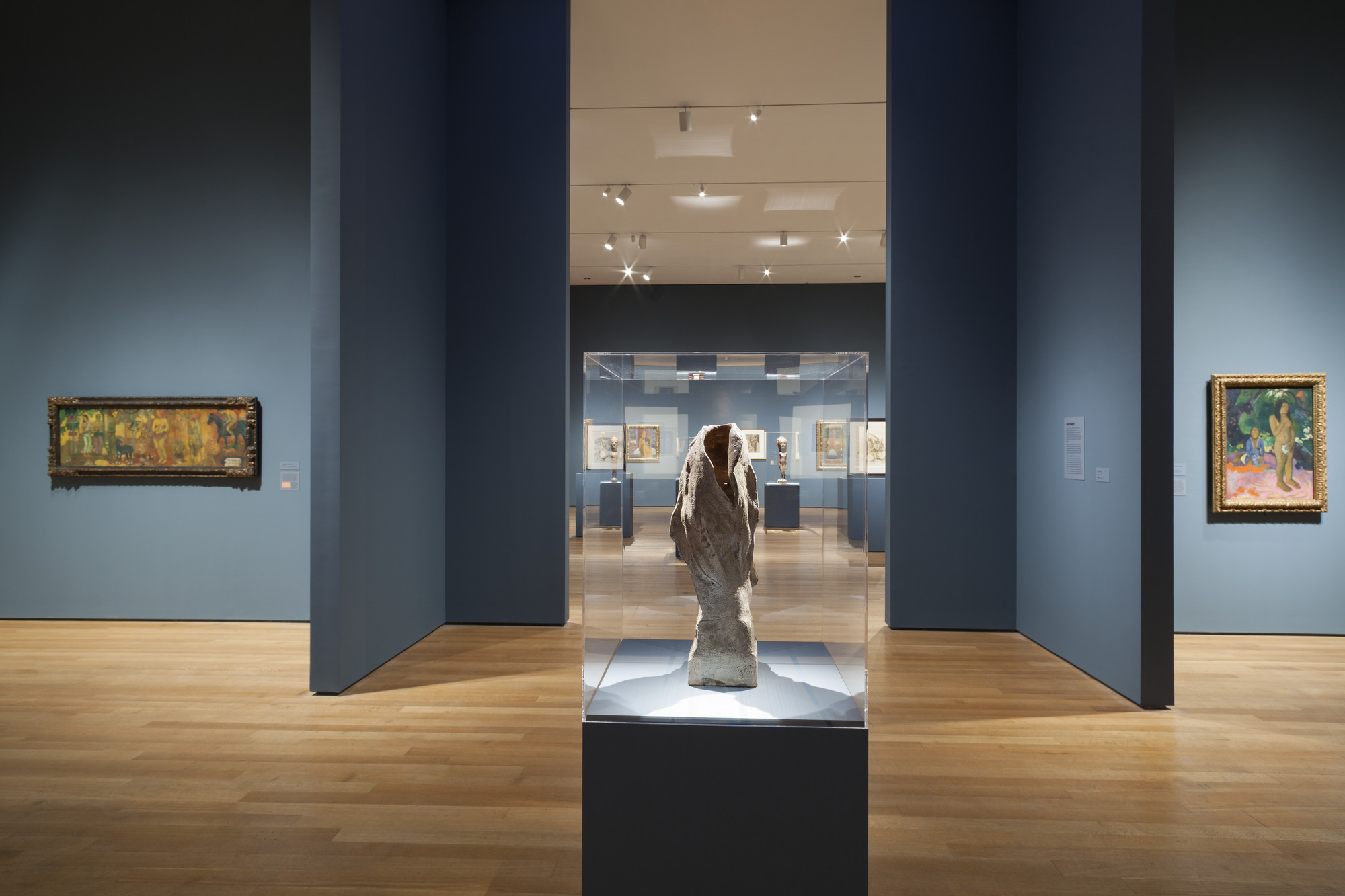 Installation view of the exhibition "Gauguin Metamorphoses" MoMA