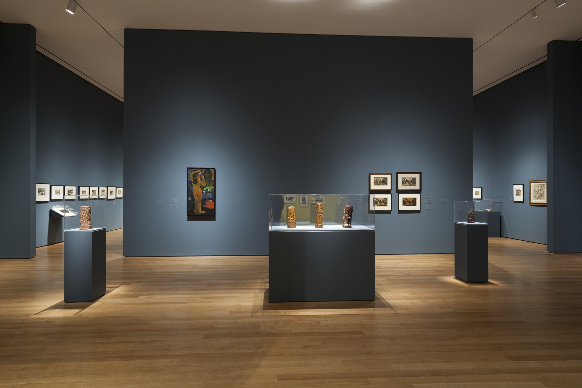 Installation view of the exhibition "Gauguin Metamorphoses" MoMA