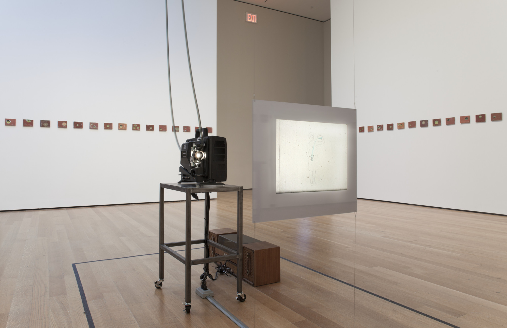 Installation View Of The Exhibition Francis Alÿs A Story Of Deception Moma