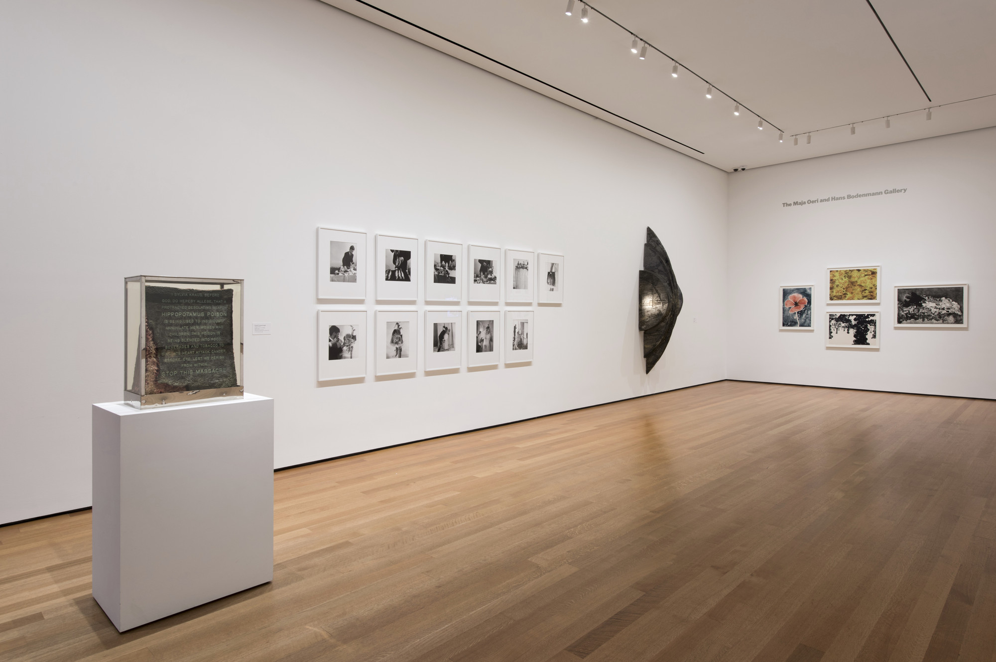 Installation View Of The Exhibition "From The Collection: 1960-1969" | MoMA