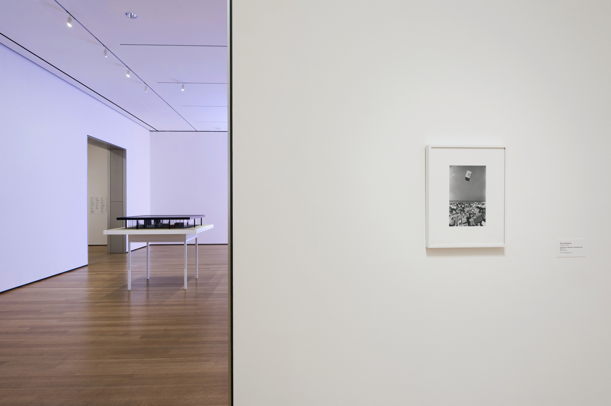 Installation View Of The Exhibition "From The Collection: 1960-1969" | MoMA