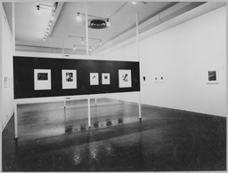 Alfred Stieglitz Exhibition His Photographs and Collection popular Museum of Moden Art MOMA NYC 1947