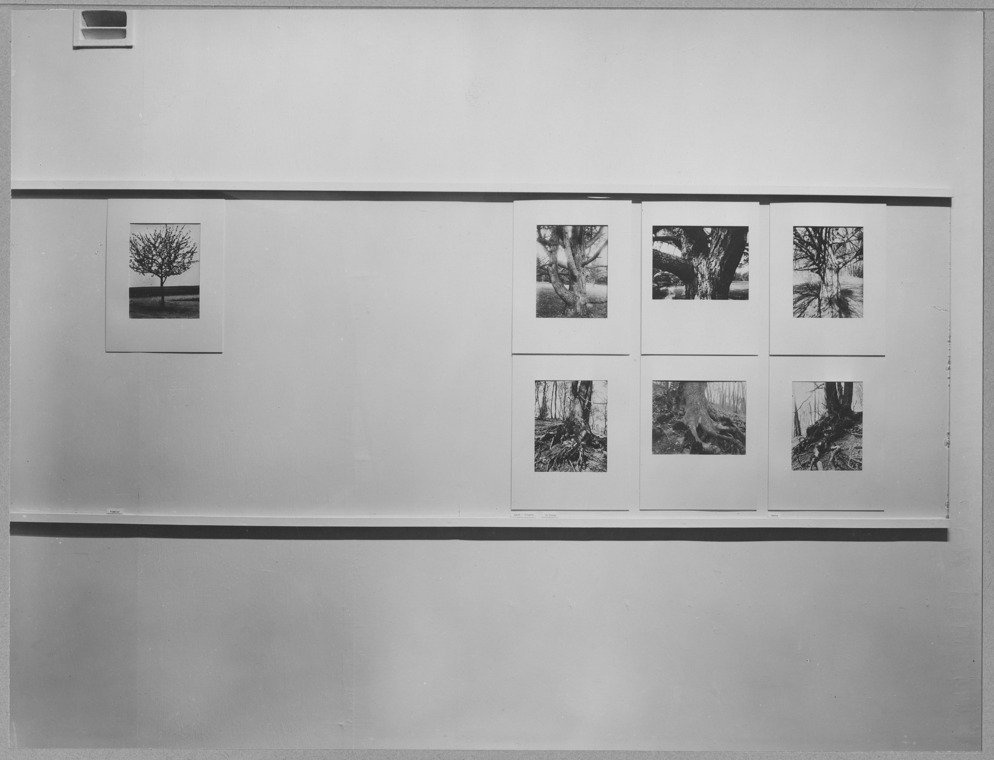 Photography Recent Acquisitions: Stieglitz, Atget | MoMA