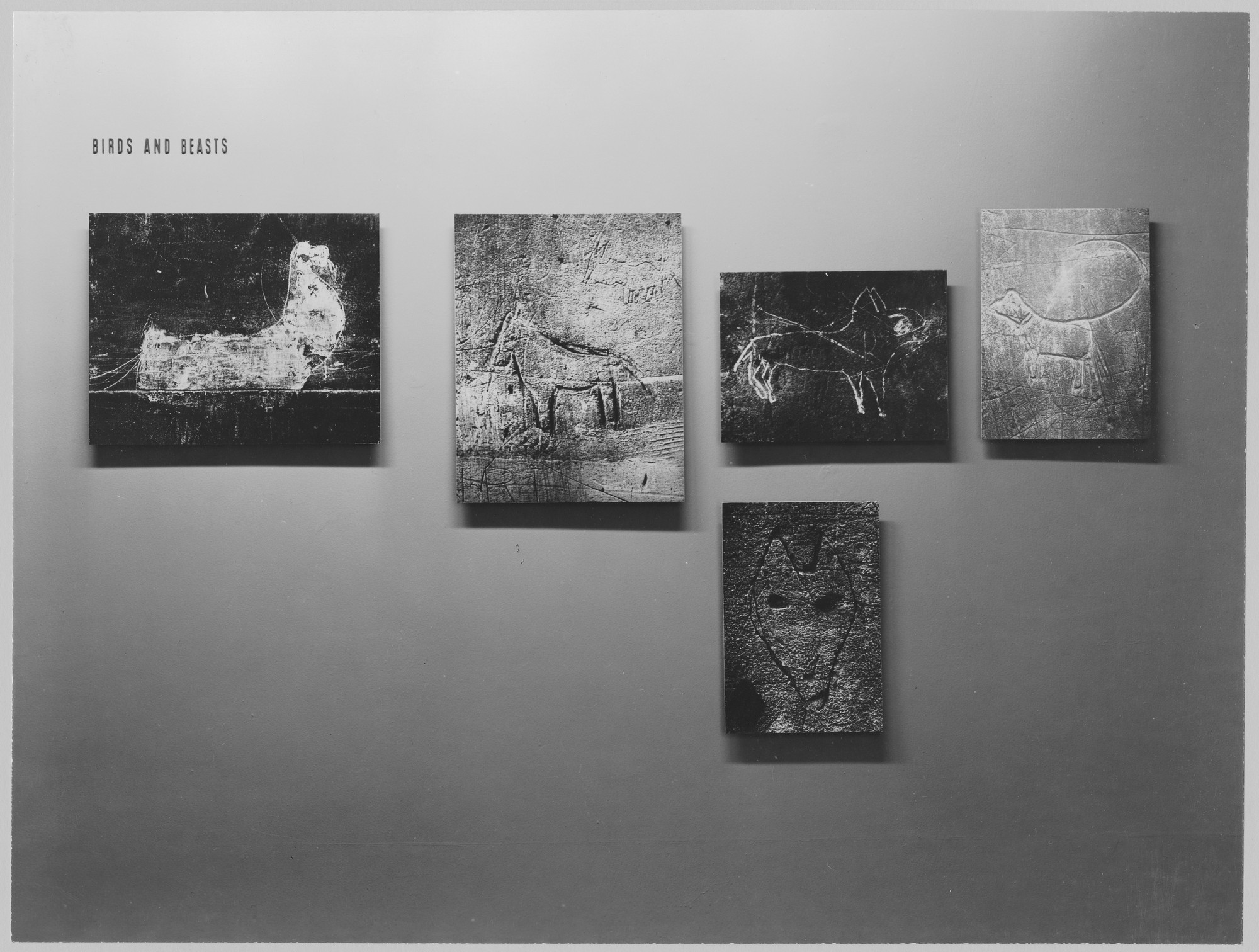 Installation View Of The Exhibition 