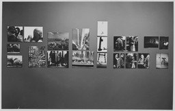 Photographs From The Museum Collection | MoMA