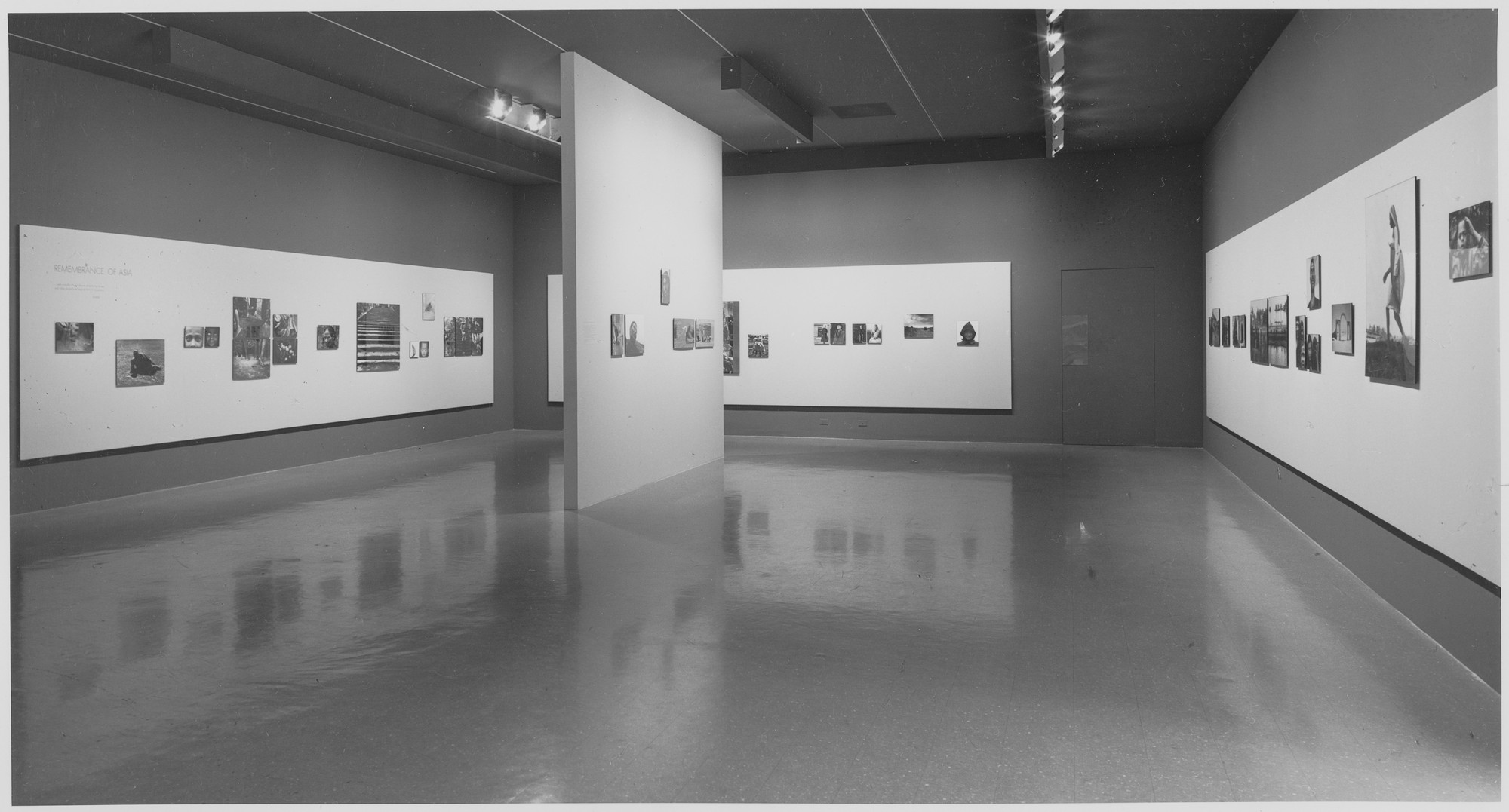 Installation view of the exhibition "Dorothea Lange." MoMA