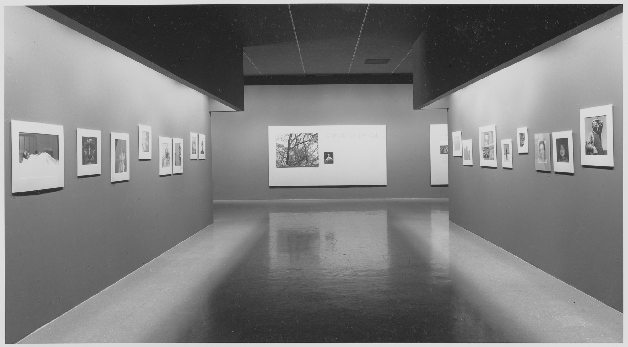 Installation view of the exhibition "Dorothea Lange." MoMA