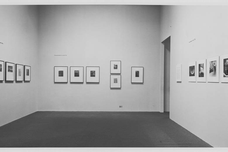 Max Waldman | MoMA