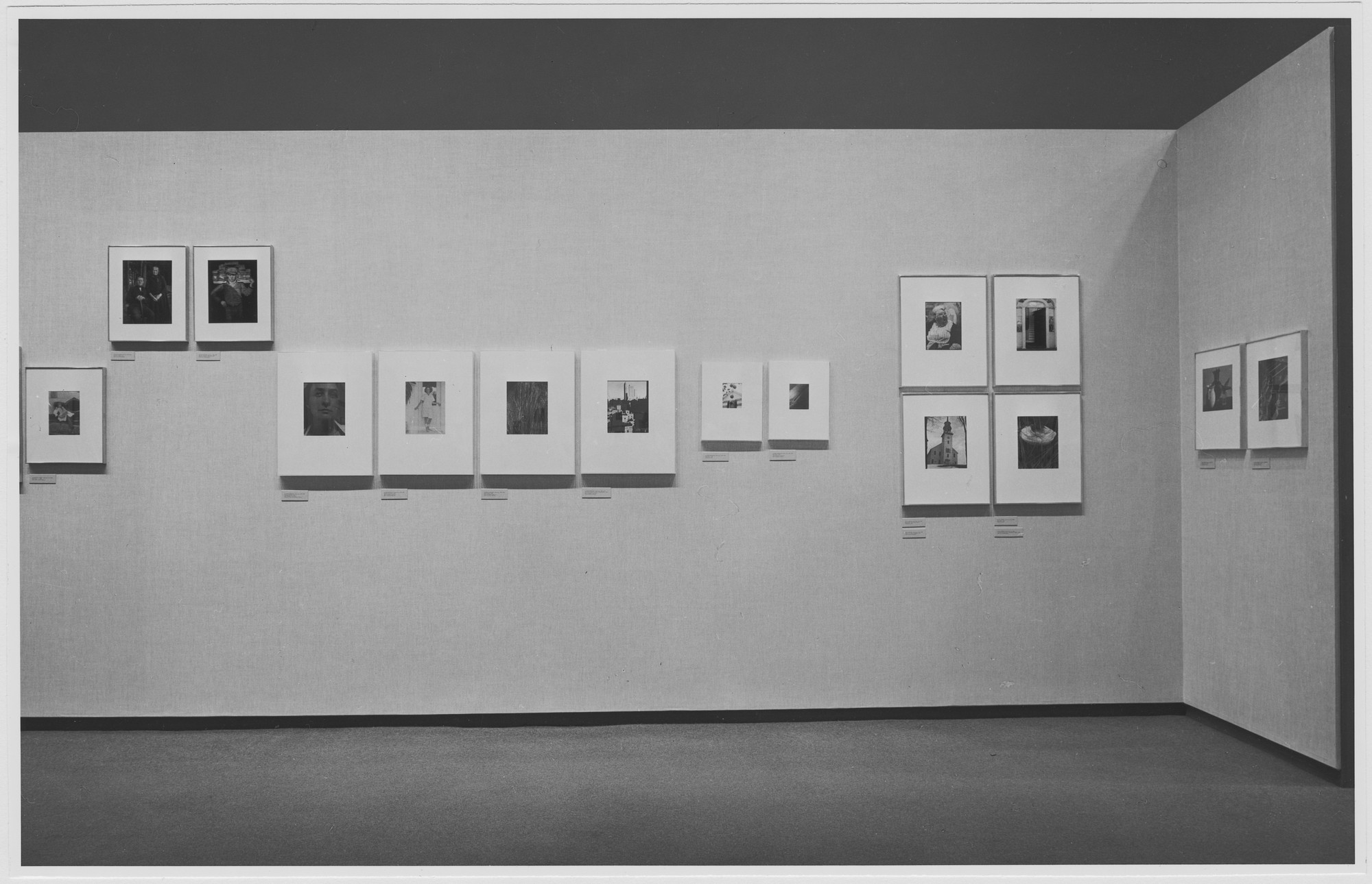 Installation view of the exhibition 