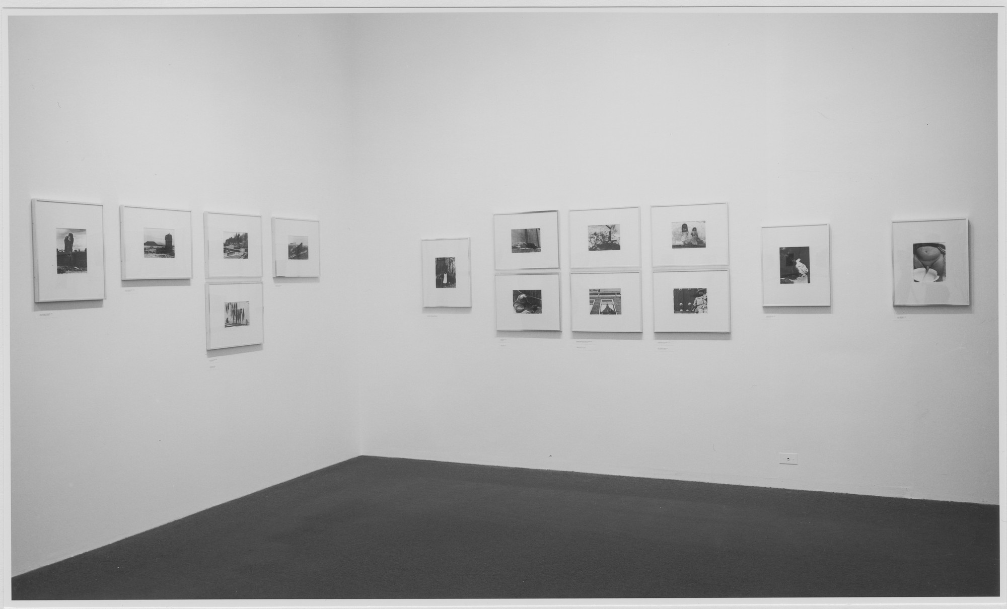 Installation view of the exhibition 