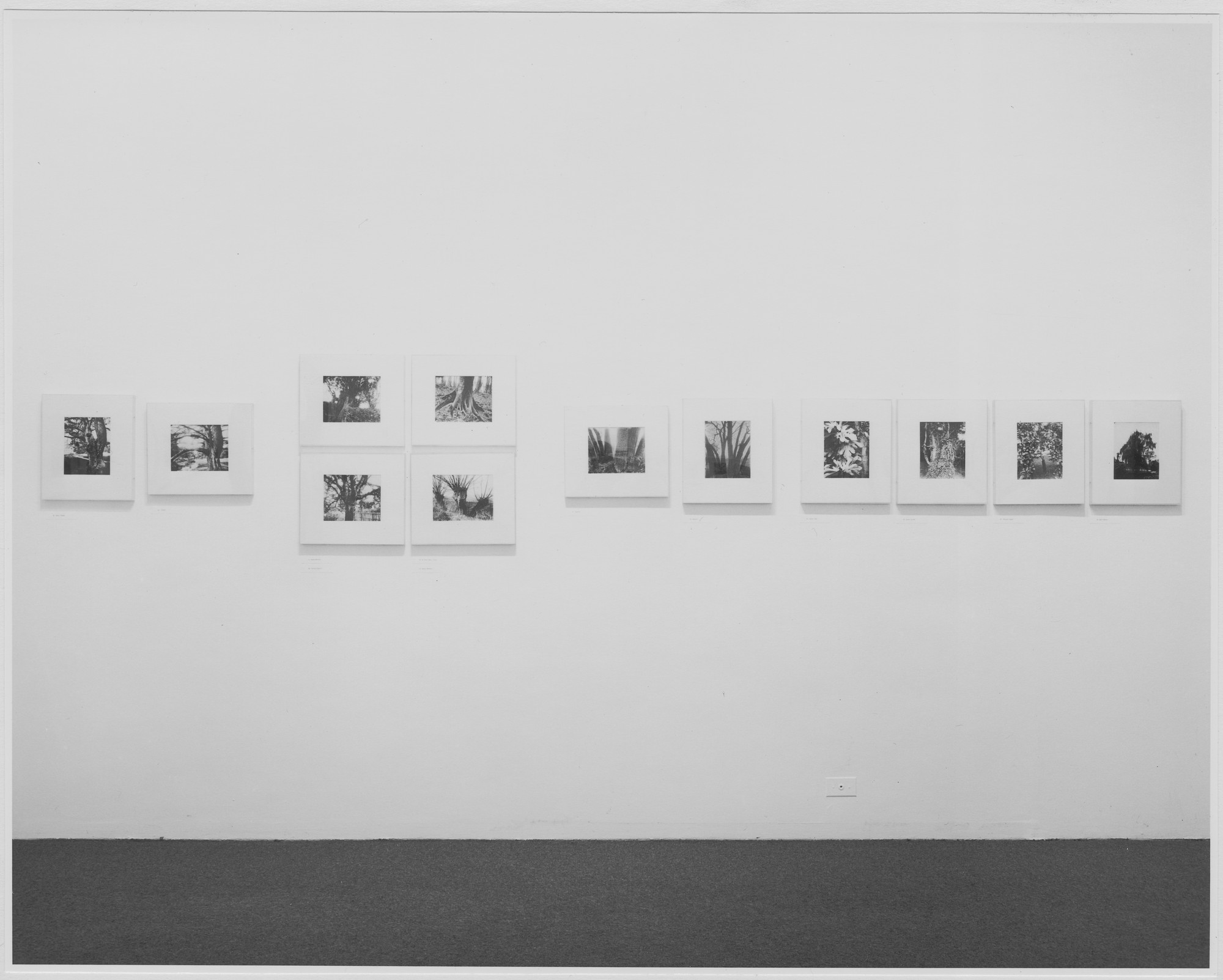 Installation view of the exhibition 