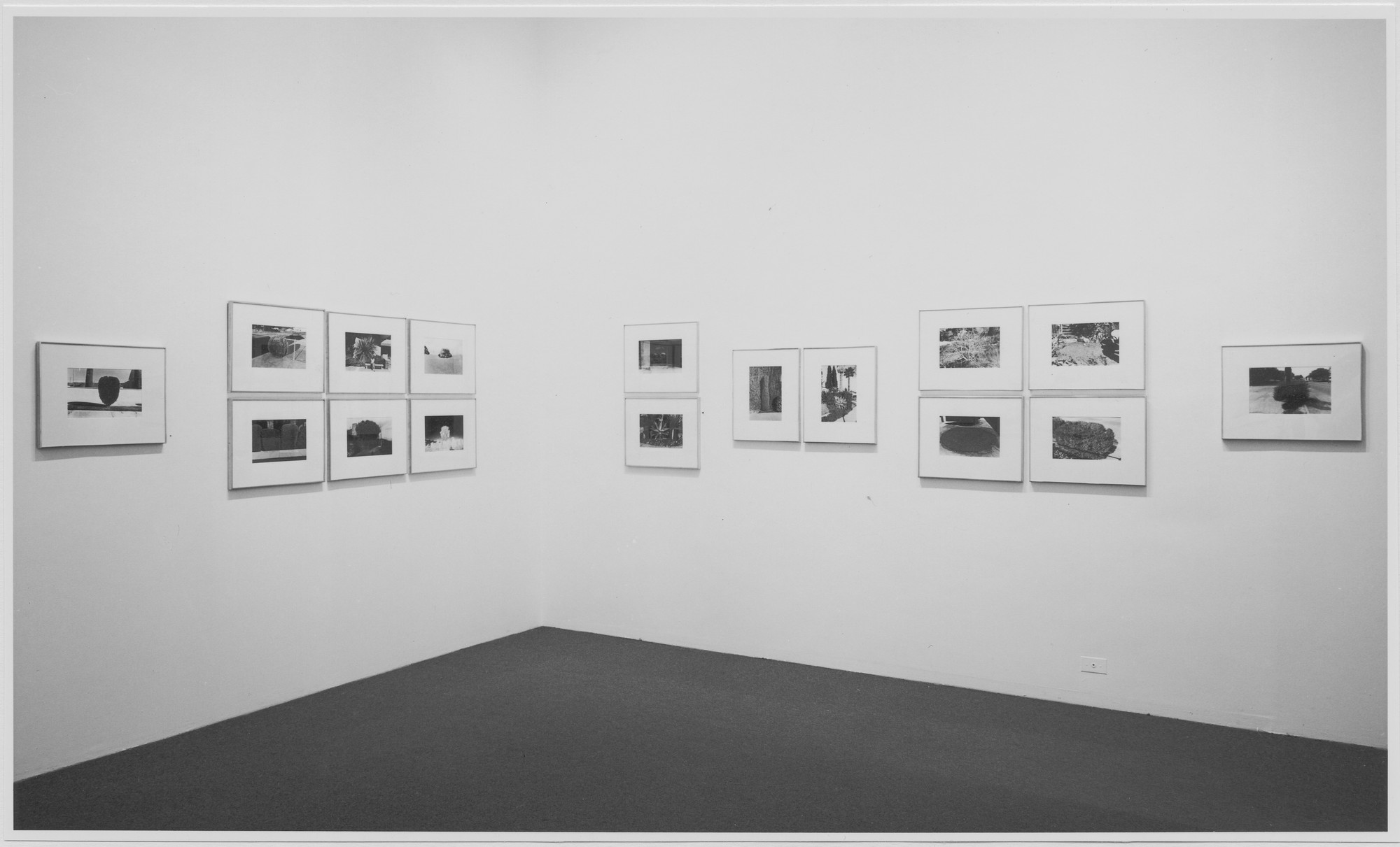 Installation view of the exhibition 