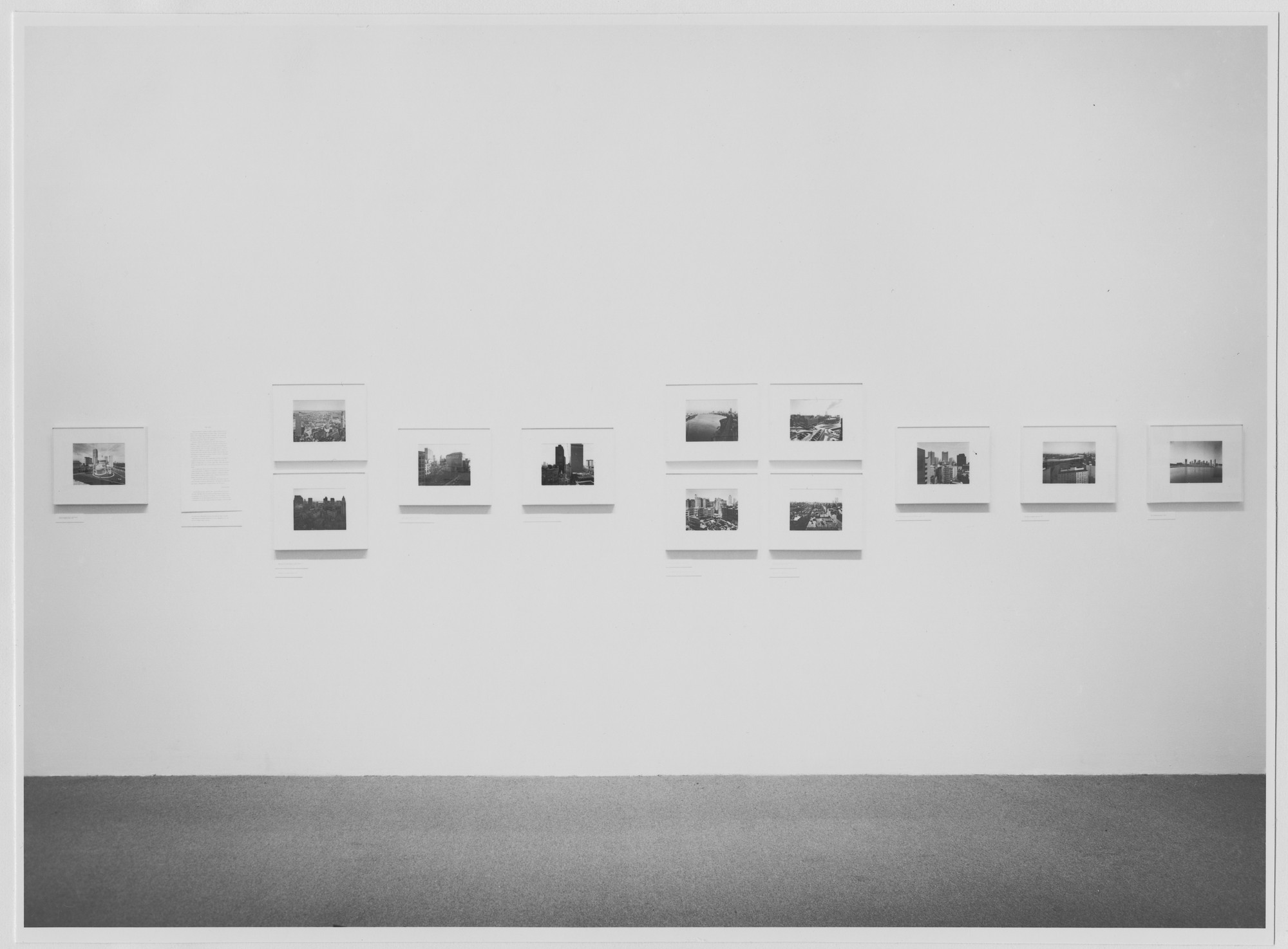 Longer Views: 40 Photographs by Nick Nixon | MoMA