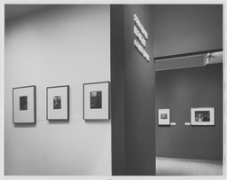 Selections From The Collections | MoMA