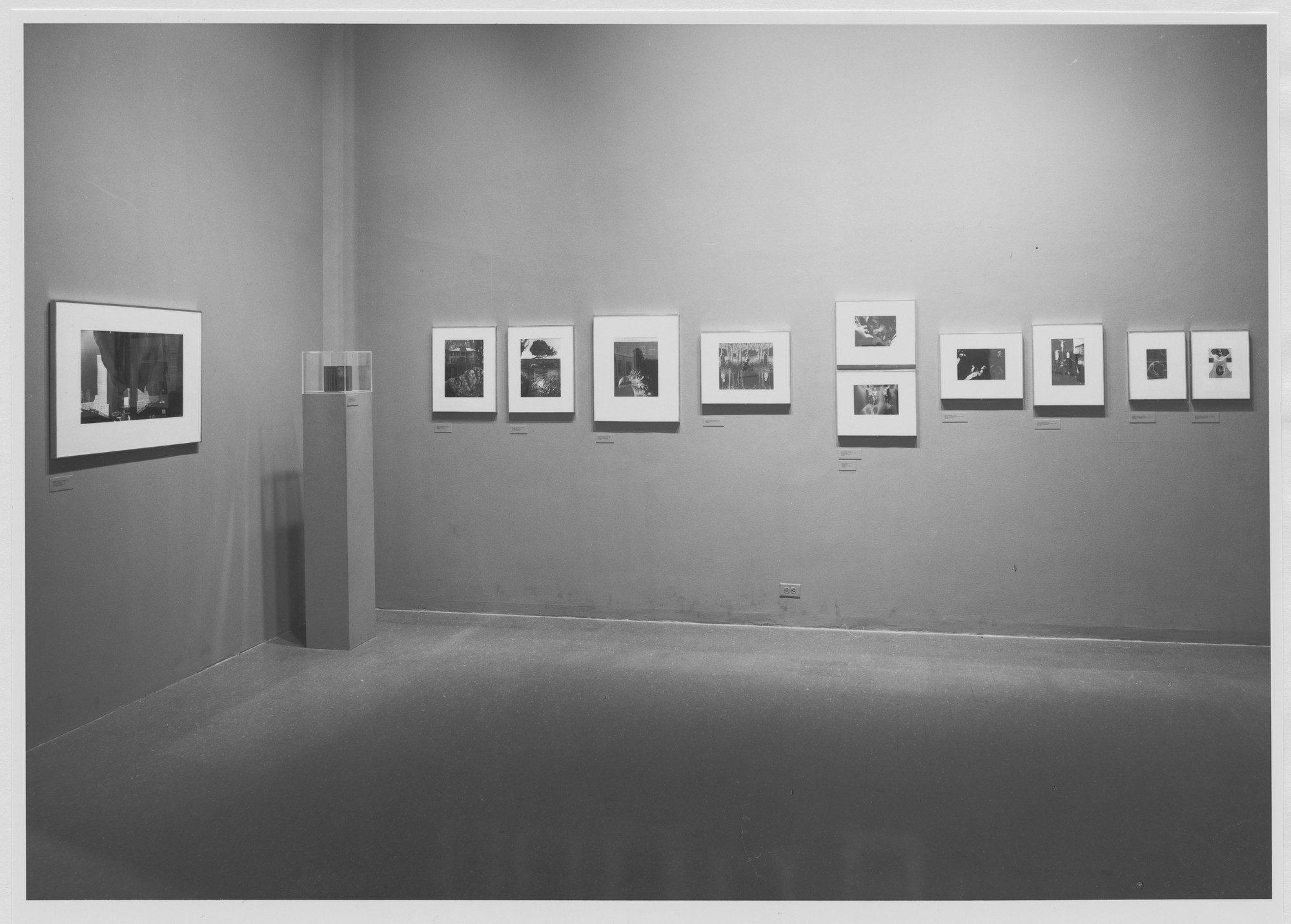 Installation view of the exhibition 